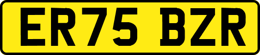 ER75BZR