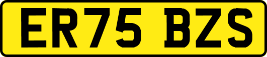 ER75BZS