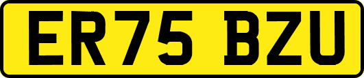 ER75BZU