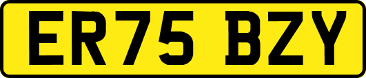 ER75BZY