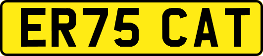 ER75CAT