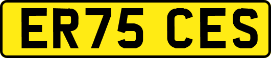ER75CES