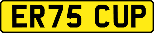 ER75CUP