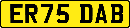 ER75DAB
