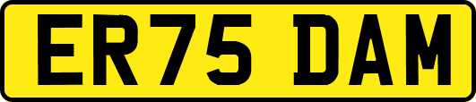 ER75DAM