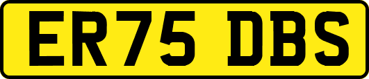 ER75DBS