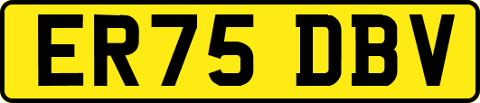 ER75DBV