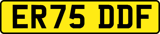 ER75DDF