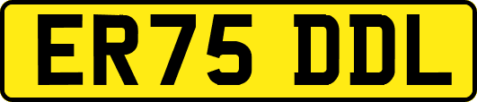 ER75DDL