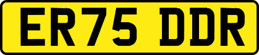 ER75DDR