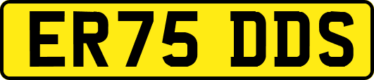 ER75DDS
