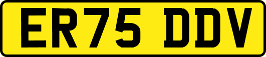ER75DDV