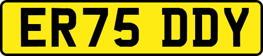 ER75DDY