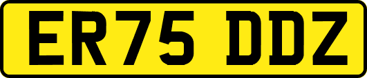 ER75DDZ