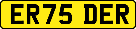 ER75DER