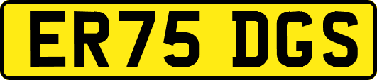 ER75DGS