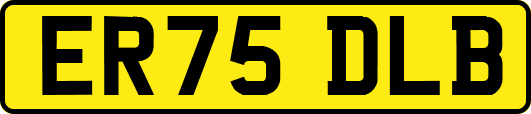 ER75DLB