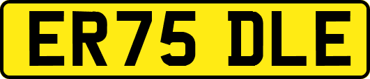 ER75DLE