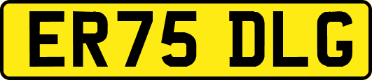 ER75DLG