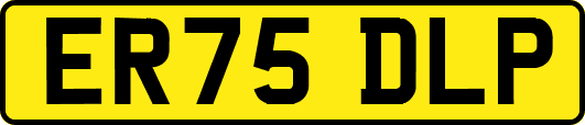 ER75DLP