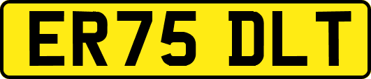 ER75DLT