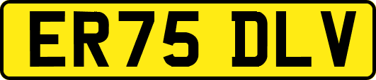 ER75DLV