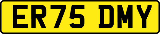 ER75DMY