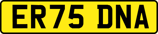 ER75DNA