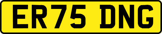 ER75DNG