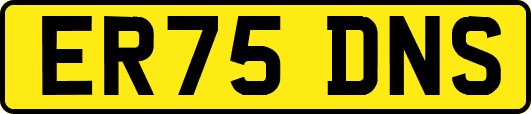 ER75DNS