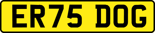 ER75DOG