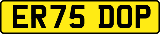 ER75DOP