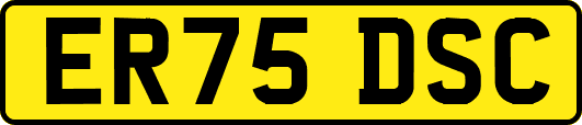 ER75DSC