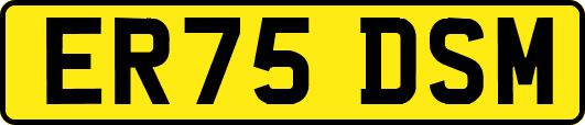 ER75DSM
