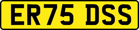 ER75DSS