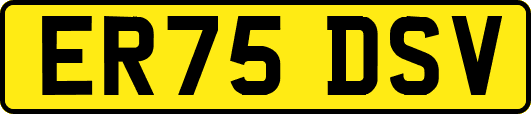 ER75DSV