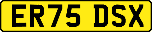 ER75DSX