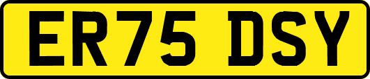 ER75DSY