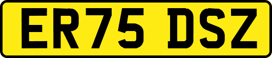 ER75DSZ