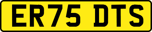 ER75DTS