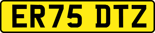 ER75DTZ