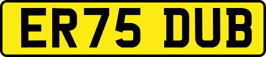 ER75DUB