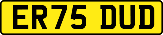 ER75DUD