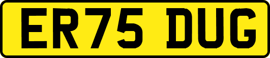ER75DUG