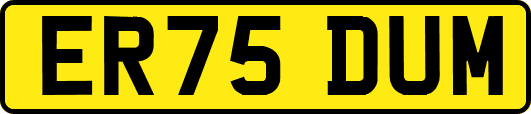 ER75DUM