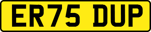 ER75DUP