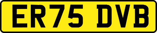 ER75DVB