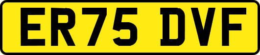 ER75DVF