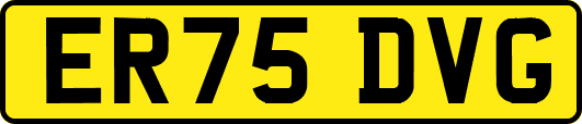 ER75DVG