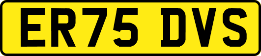 ER75DVS